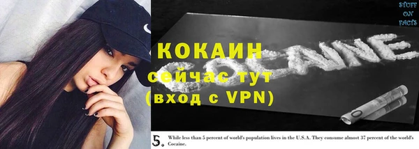меф Гусь-Хрустальный
