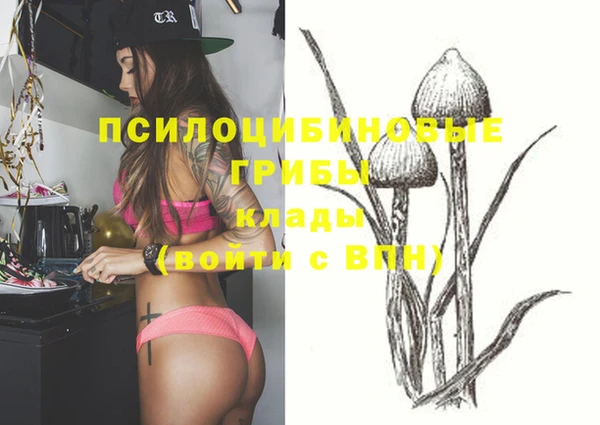 каннабис Гусев