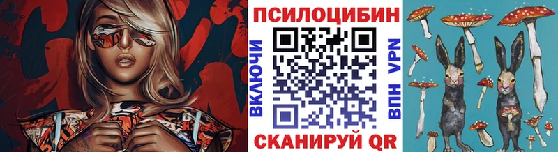 Галлюциногенные грибы Cubensis  Купить  Кореновск 