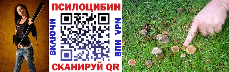 Галлюциногенные грибы прущие грибы Кореновск